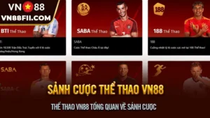 Thể Thao VN88 Tổng quan về Sảnh Cược